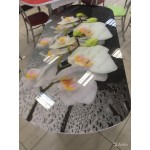 Стол стеклянный раздвижной Орхидея белая